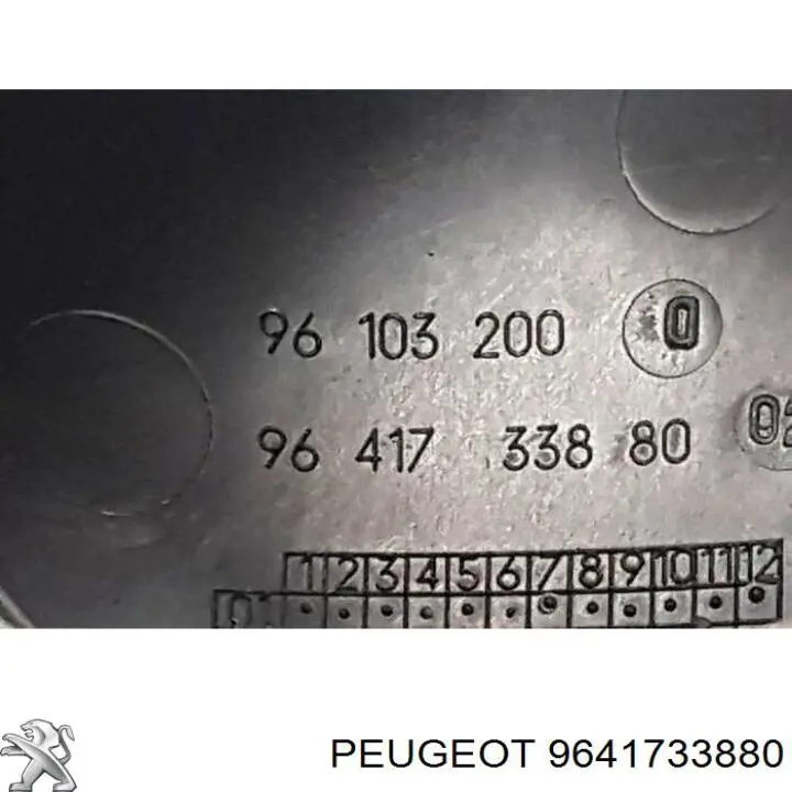 9641733880 Peugeot/Citroen 
