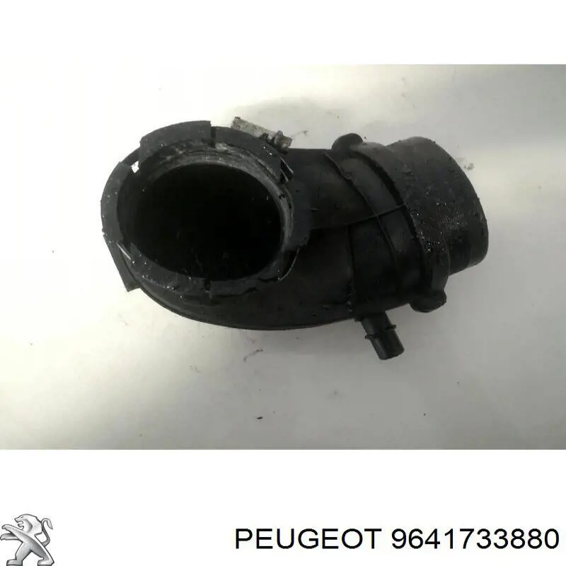 Купить 9641733880 Peugeot/Citroen 