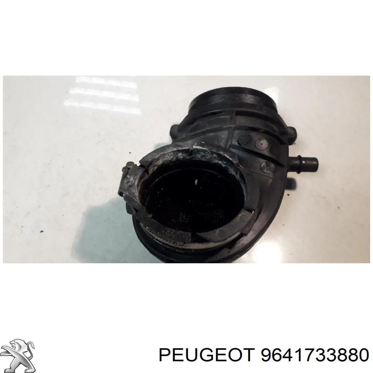  9641733880 Peugeot/Citroen