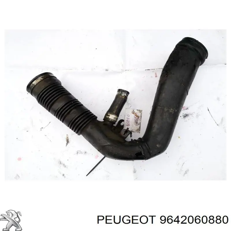 9642060880 Peugeot/Citroen 