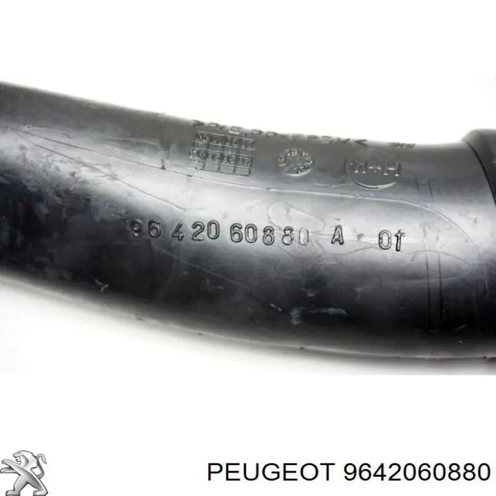  9642060880 Peugeot/Citroen
