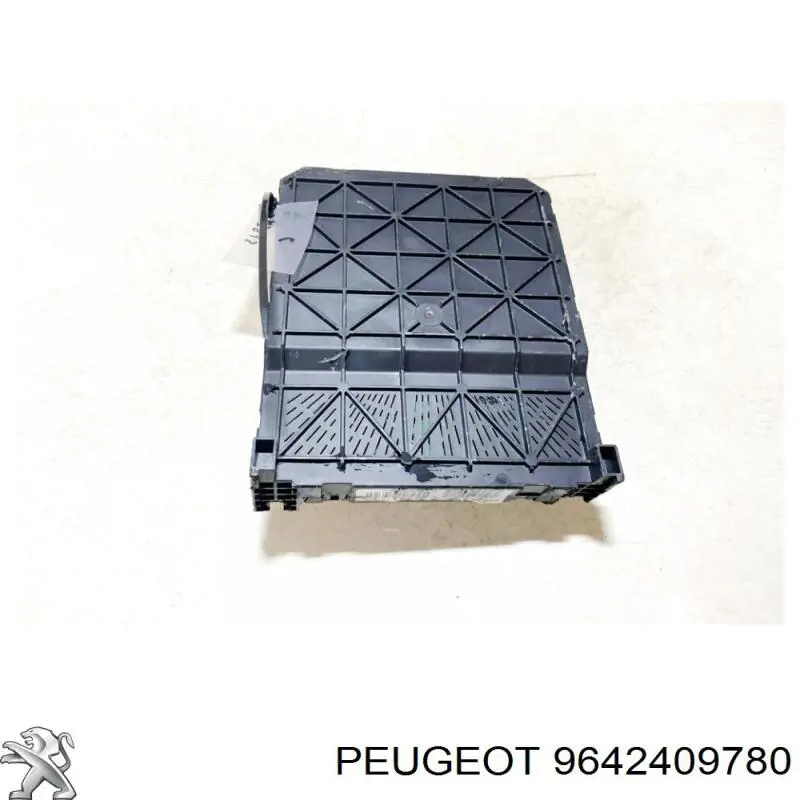  9642409780 Peugeot/Citroen