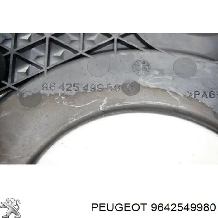 9642549980 Peugeot/Citroen 