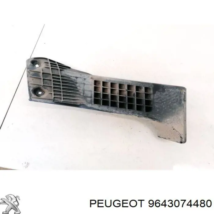 9643074480 Peugeot/Citroen 