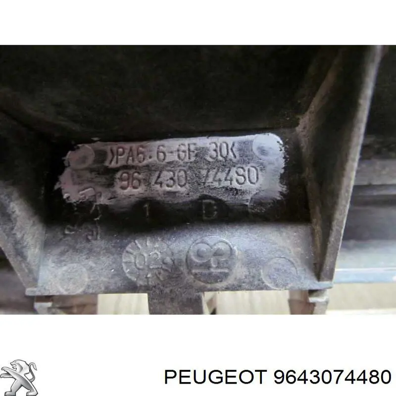9643074480 Peugeot/Citroen 