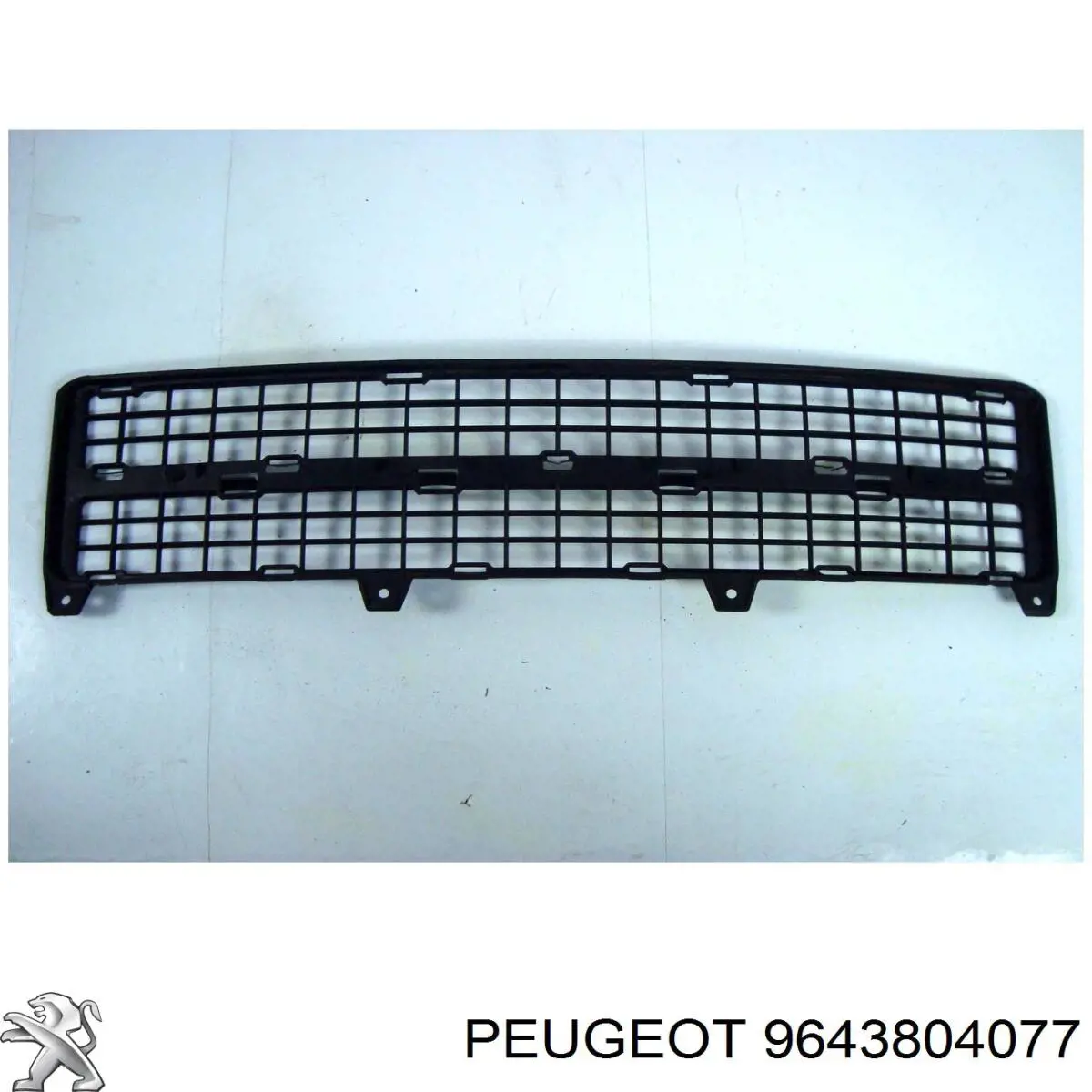 9643804077 Peugeot/Citroen 