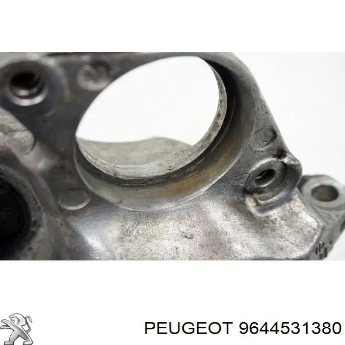 9644531380 Peugeot/Citroen 