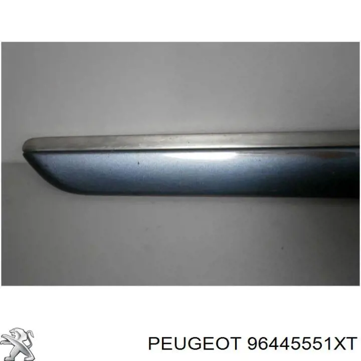  96445551XT Peugeot/Citroen