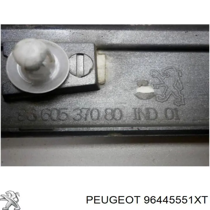 96445551XT Peugeot/Citroen 