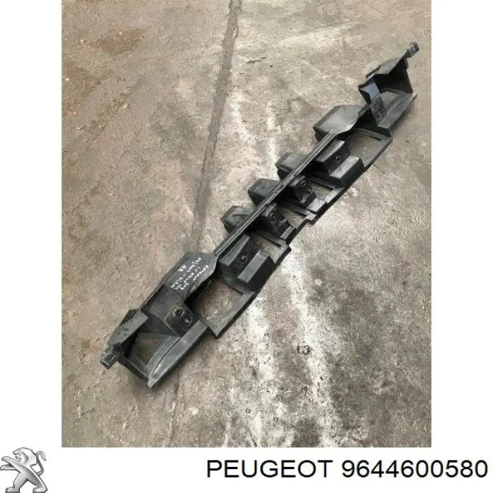 9644600580 Peugeot/Citroen 