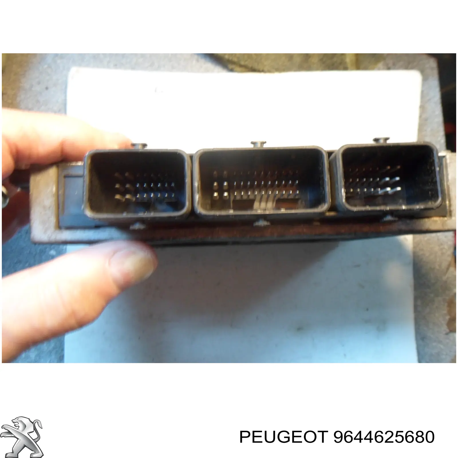 9644625680 Peugeot/Citroen Мозги двигателя