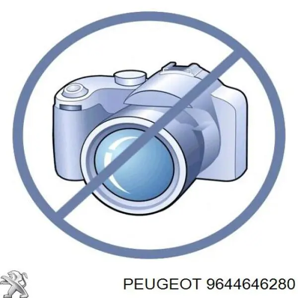 9644646280 Peugeot/Citroen 