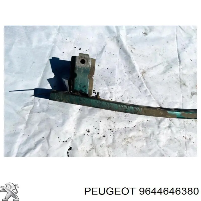  9644646380 Peugeot/Citroen