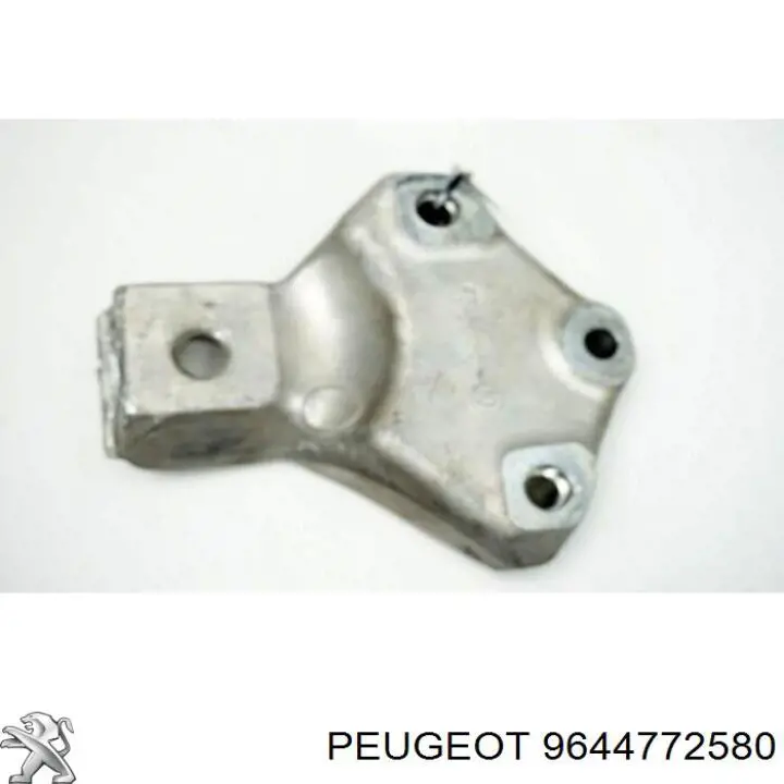 9644772580 Peugeot/Citroen 