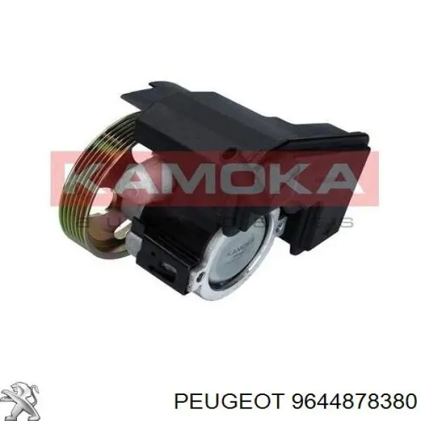 9644878380 Peugeot/Citroen bomba da direção hidrâulica assistida