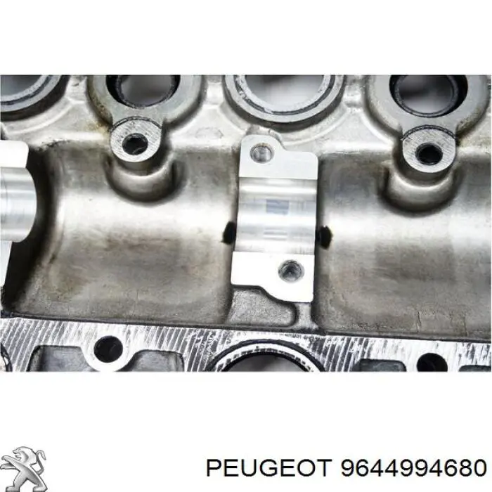 Compre Cama da árvore distribuidora Citroen Berlingo 