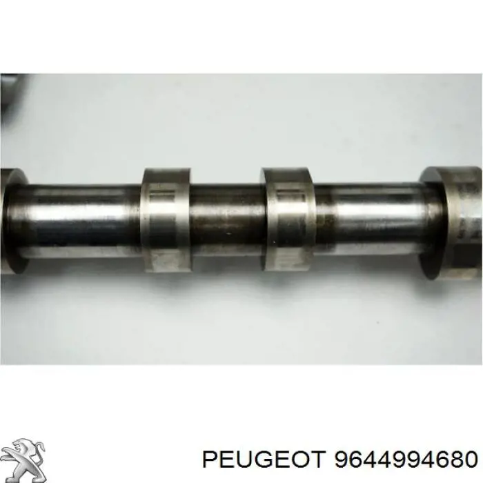 Cama da árvore distribuidora Citroen Berlingo  B9