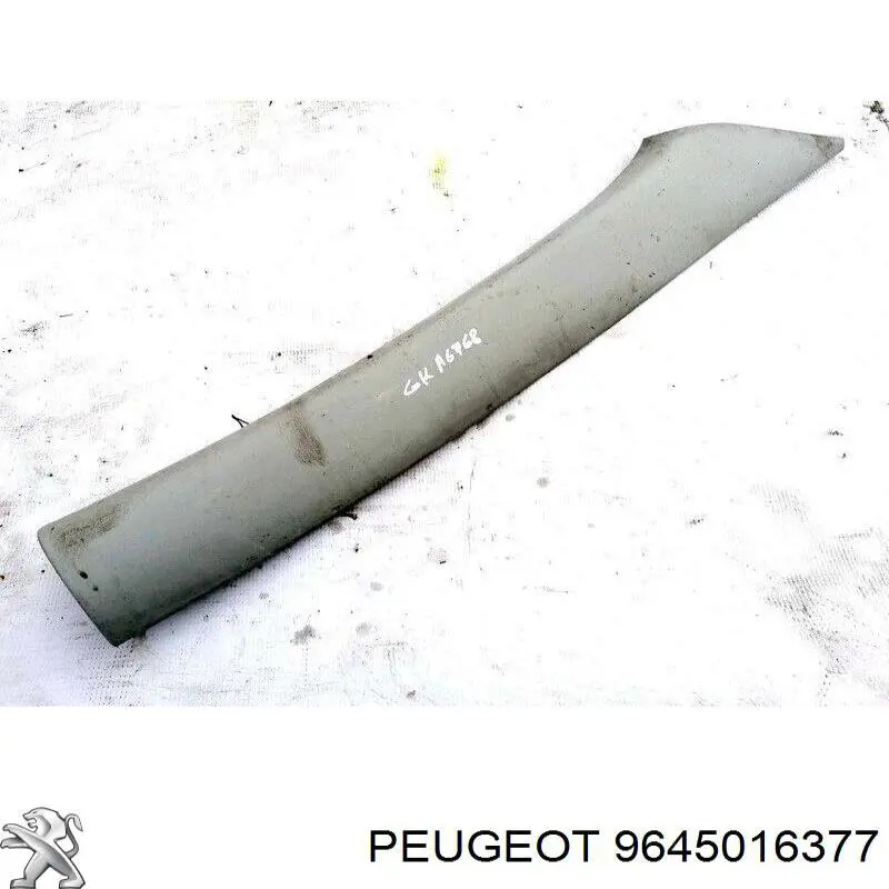 9645016377 Peugeot/Citroen 
