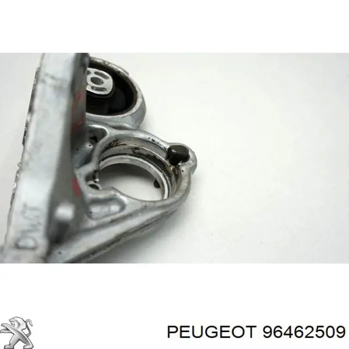 Peugeot/Citroen 96462509 цена, от 7.03 USD