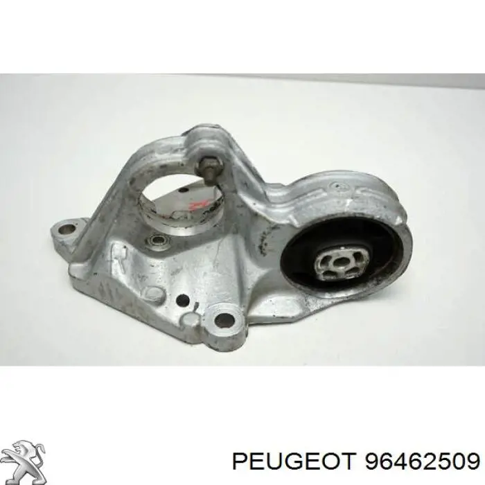  96462509 Peugeot/Citroen