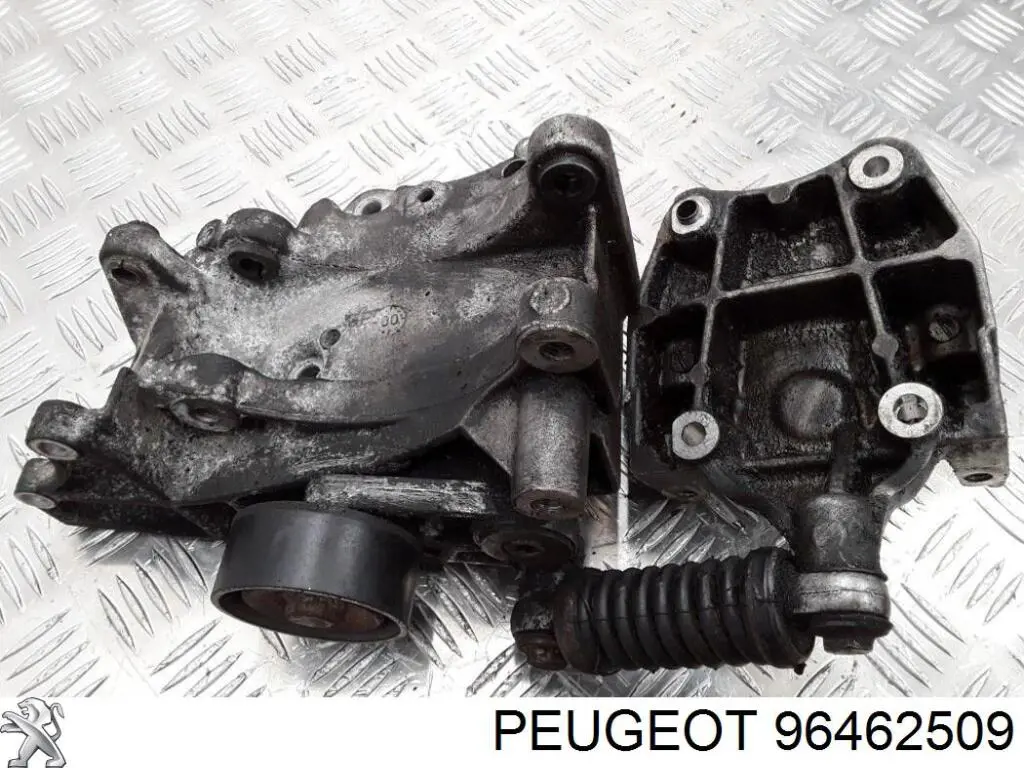 96462509 Peugeot/Citroen 