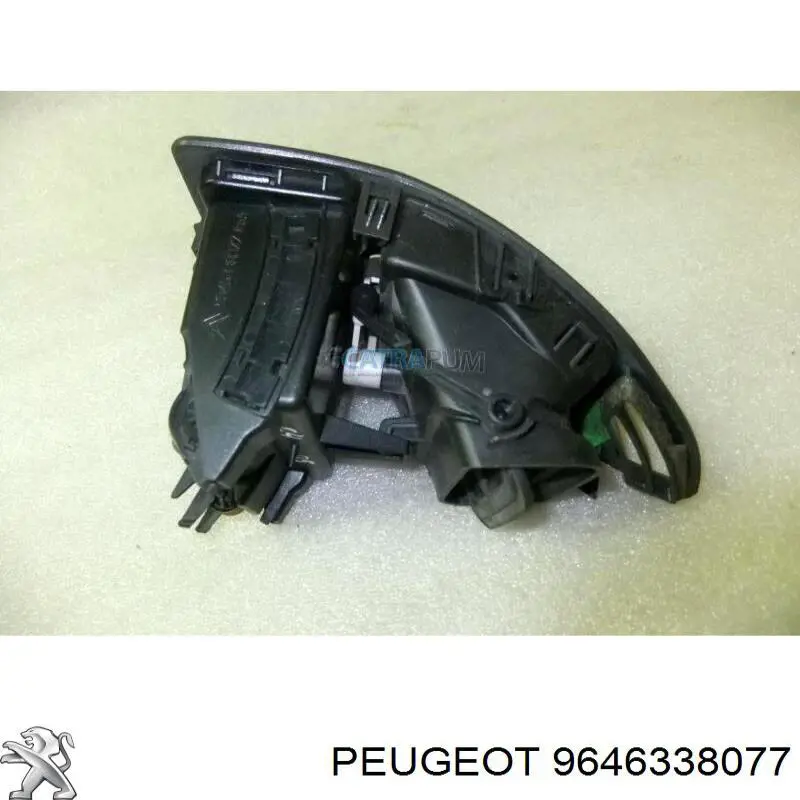 9646338077 Peugeot/Citroen 