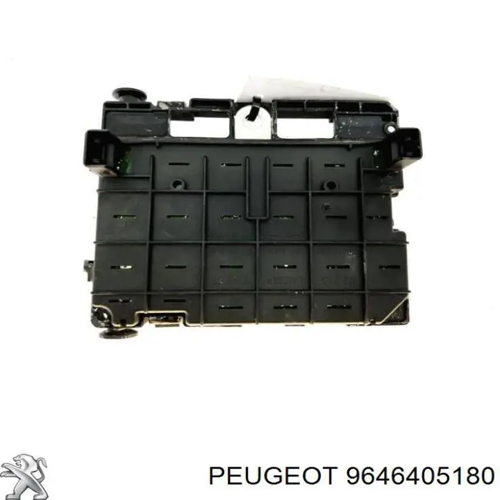  Peugeot/Citroen 9646405180