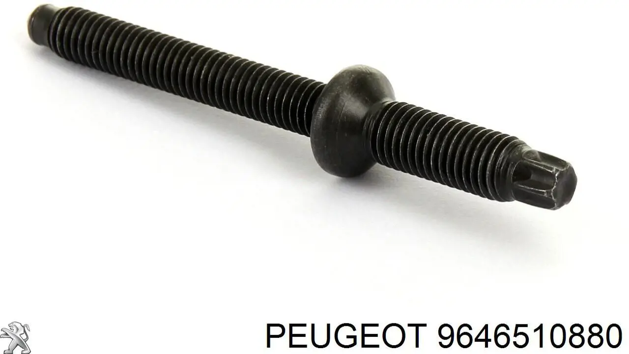 Ремкомплект форсунки Peugeot/Citroen 9646510880