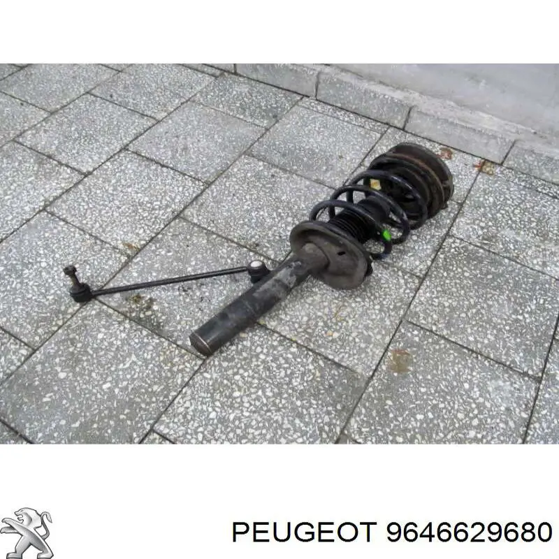 9646629680 Peugeot/Citroen 
