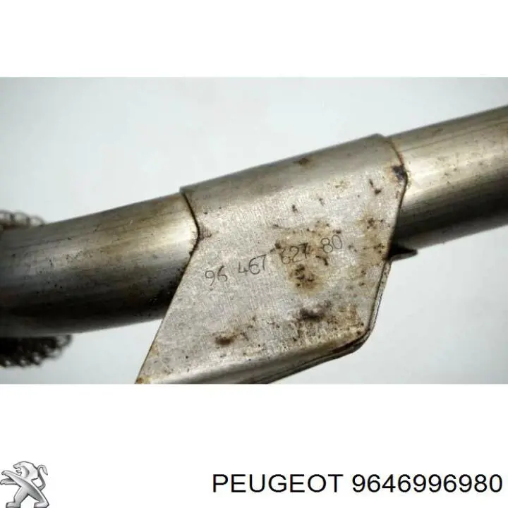 9646996980 Peugeot/Citroen Шланги и трубки системы рециркуляции