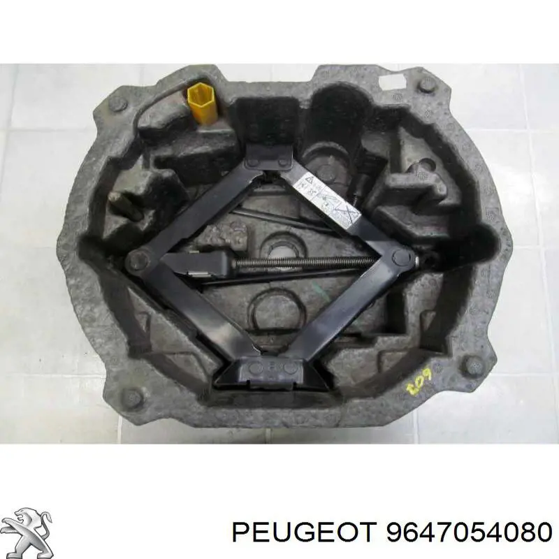 9647054080 Peugeot/Citroen 
