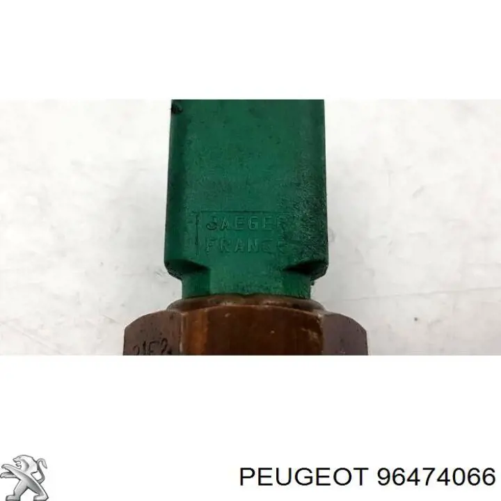 96474066 Peugeot/Citroen 