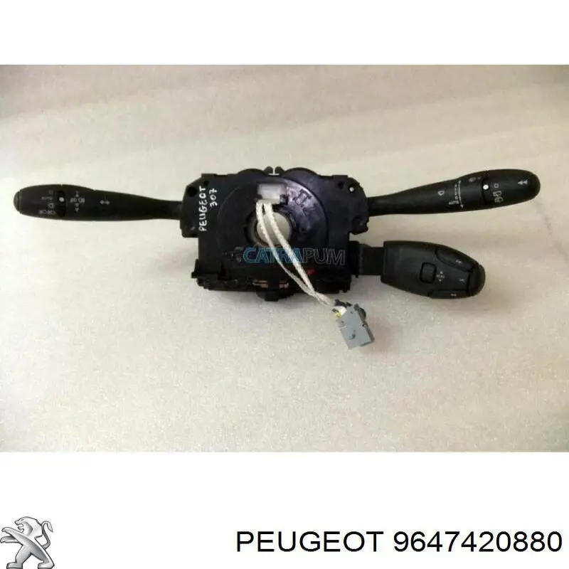 9647420880 Peugeot/Citroen 