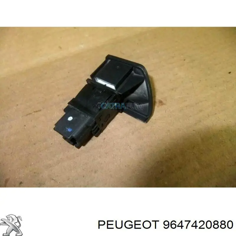  9647420880 Peugeot/Citroen