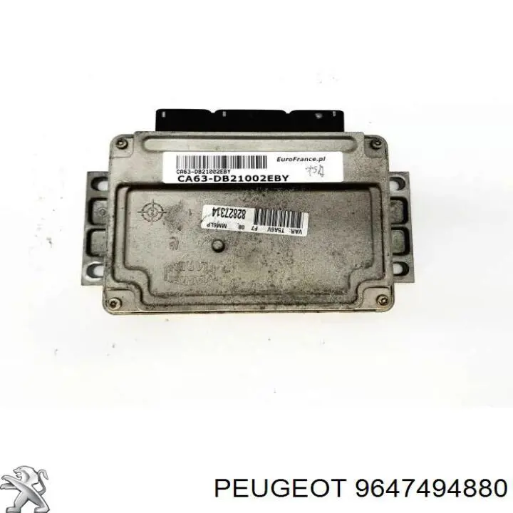 9647494880 Peugeot/Citroen 
