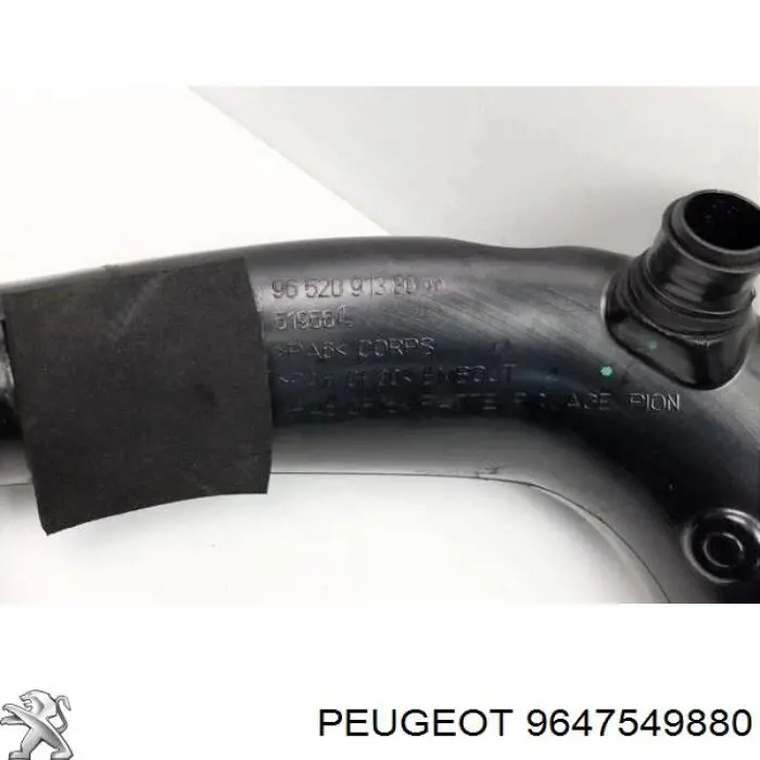 9647549880 Peugeot/Citroen 