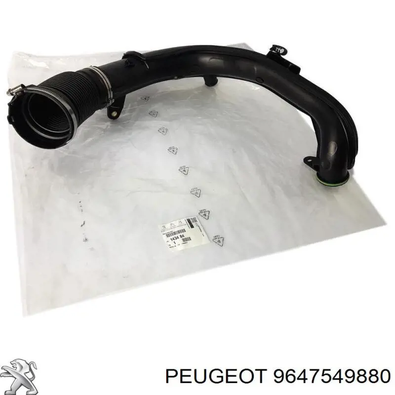 Купить 9647549880 Peugeot/Citroen 