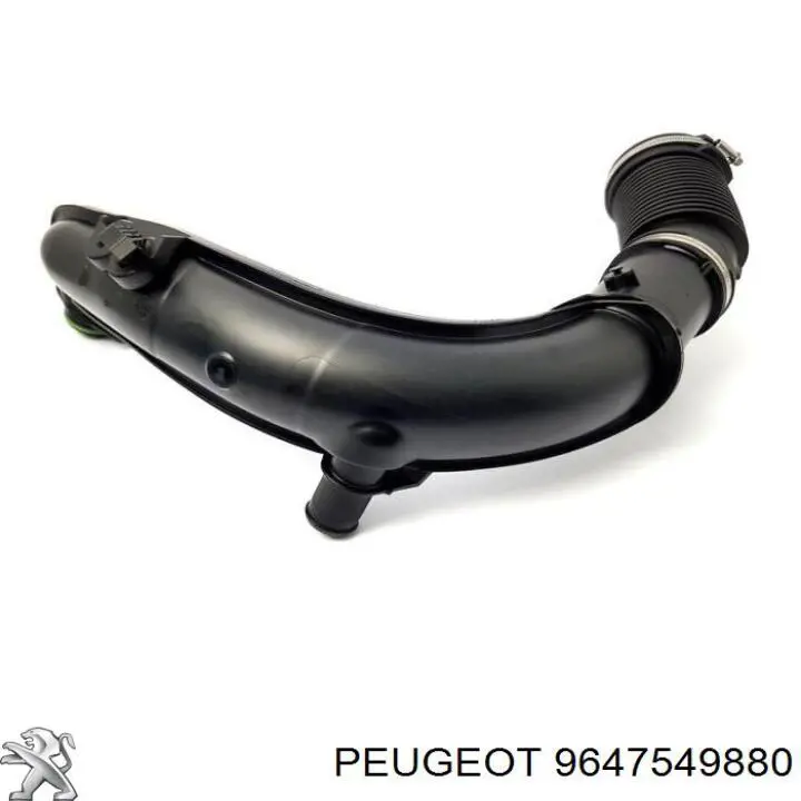  9647549880 Peugeot/Citroen