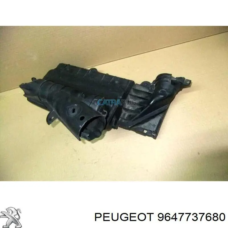  9647737680 Peugeot/Citroen