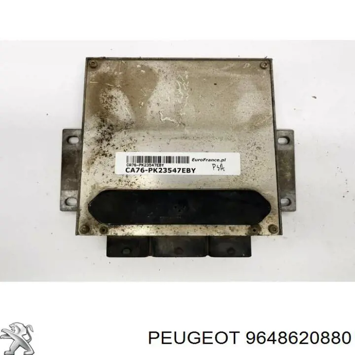  9648620880 Peugeot/Citroen