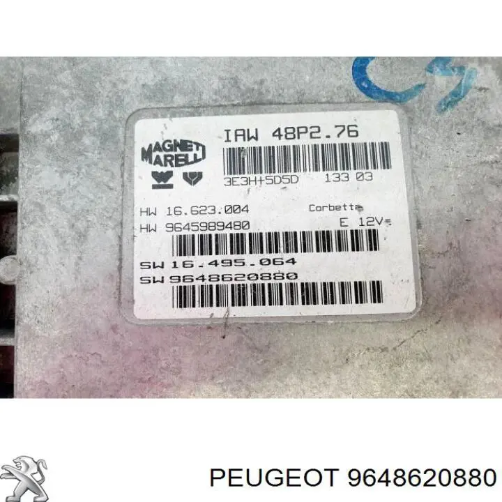 9648620880 Peugeot/Citroen 