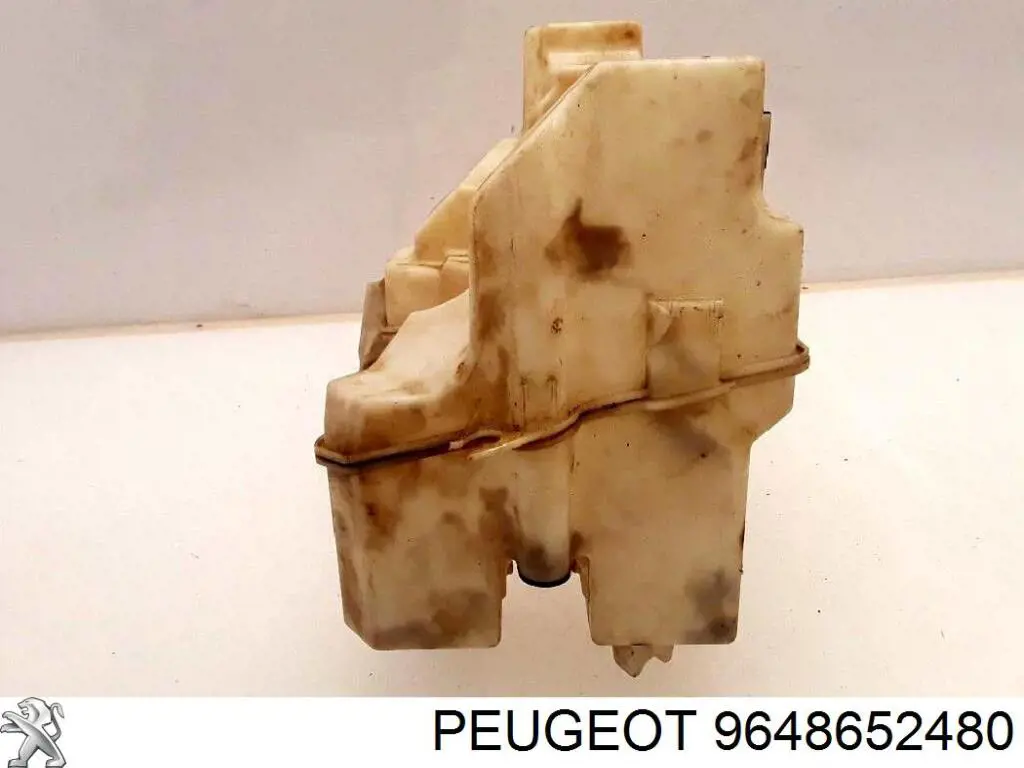  9648652480 Peugeot/Citroen