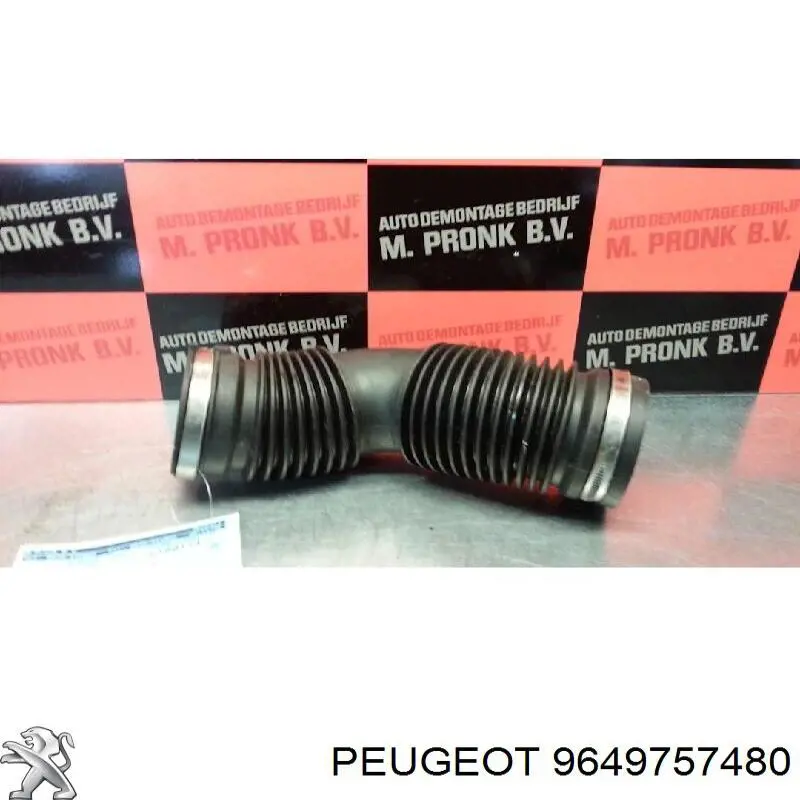 9649757480 Peugeot/Citroen 