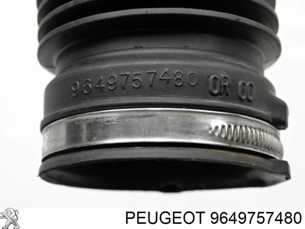 Купить 9649757480 Peugeot/Citroen 