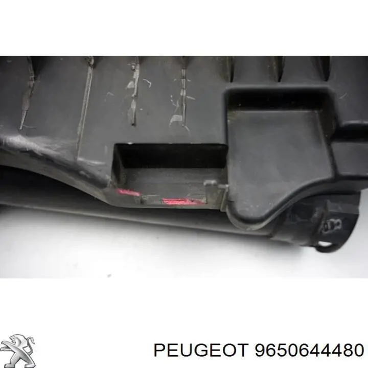 Купить 9650644480 Peugeot/Citroen 