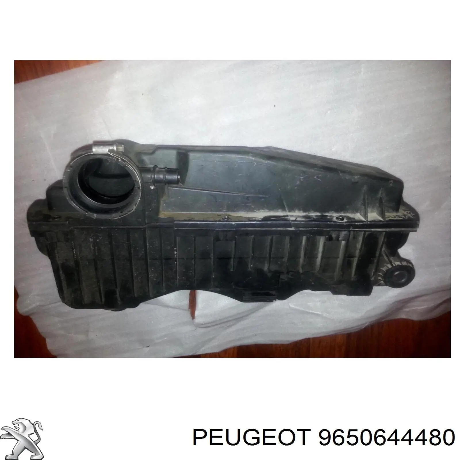  9650644480 Peugeot/Citroen