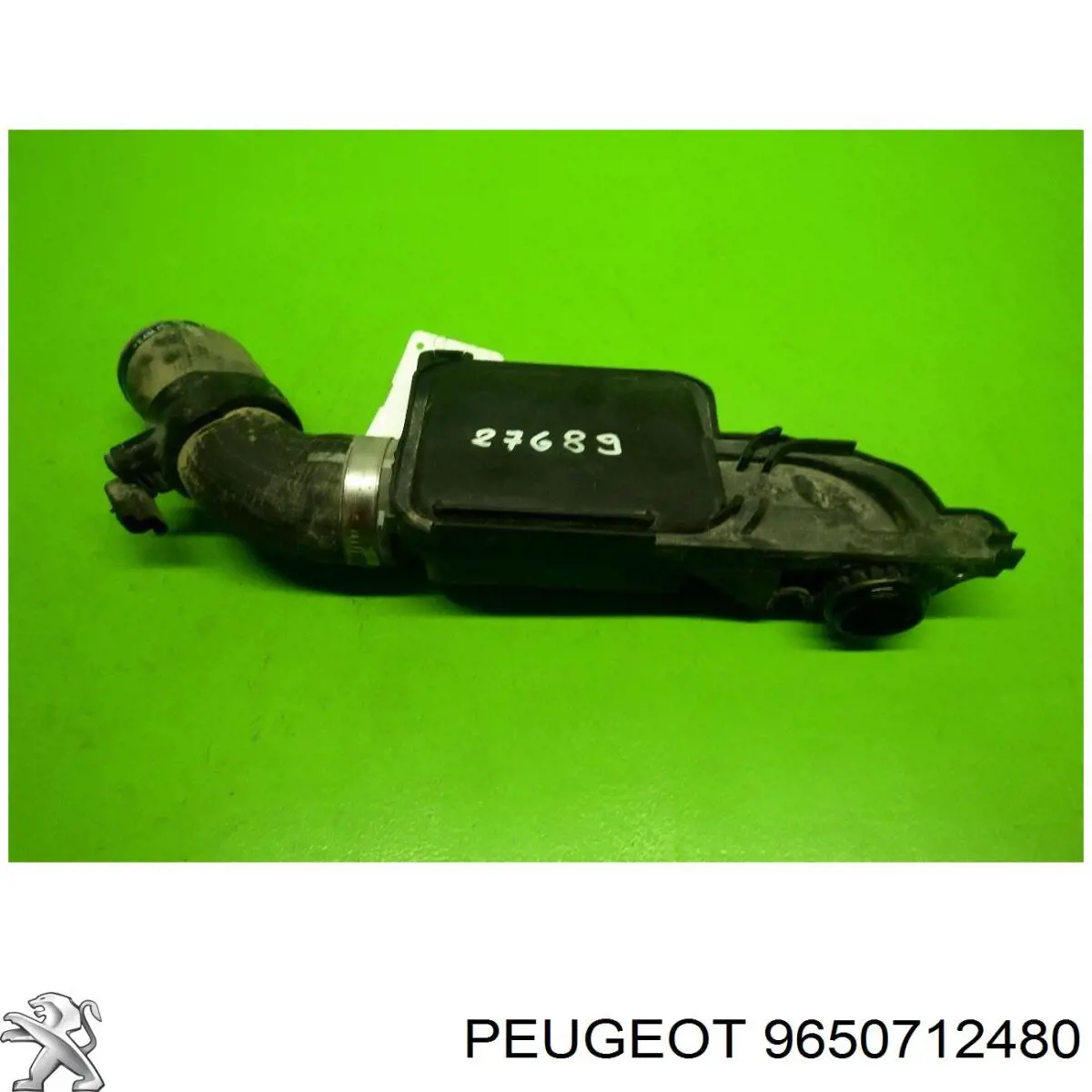 9650712480 Peugeot/Citroen 