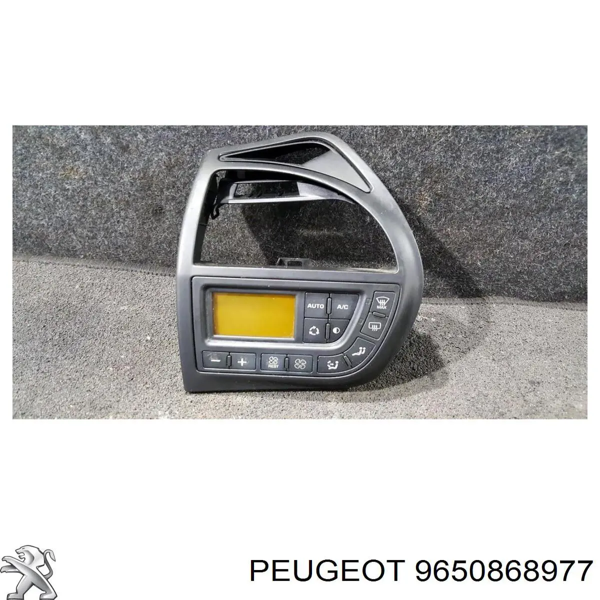 9650868977 Peugeot/Citroen 