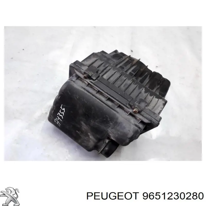 9651230280 Peugeot/Citroen 