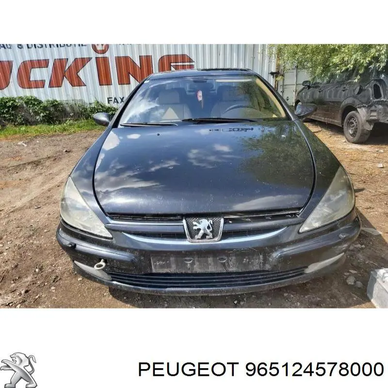  Peugeot/Citroen 965124578000 цена, от 137.69 USD
